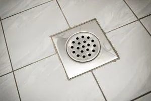 shower or bathroom sink drain