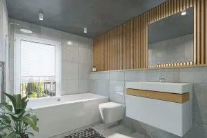 bathroom remodel in shambles